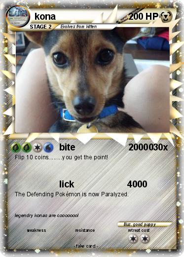 Pokemon kona