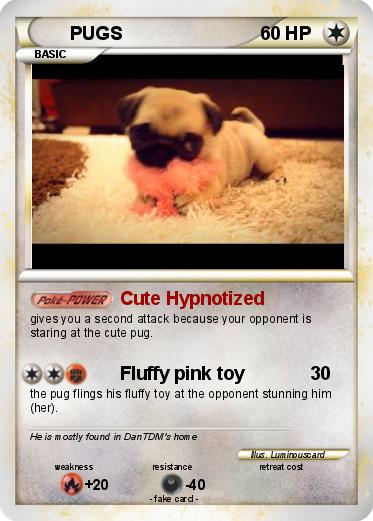 Pokemon PUGS