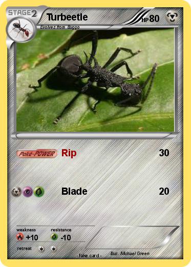 Pokemon Turbeetle