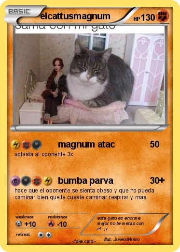 Pokemon elcattusmagnum