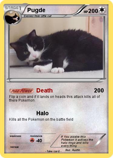 Pokemon Pugde