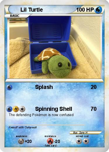 Pokemon Lil Turtle