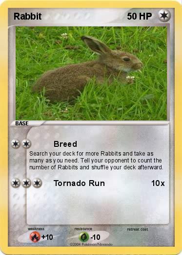 Pokemon Rabbit