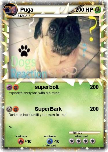 Pokemon Puga