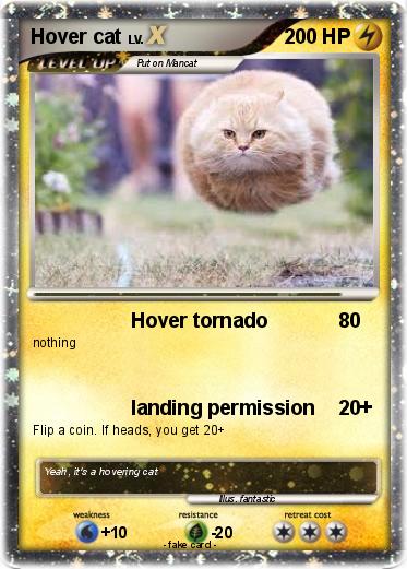 Pokemon Hover cat