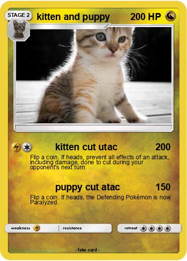 Pokemon kitten and puppy