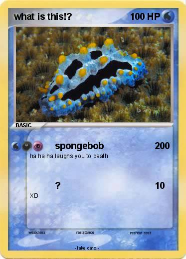 Pokemon what is this!?