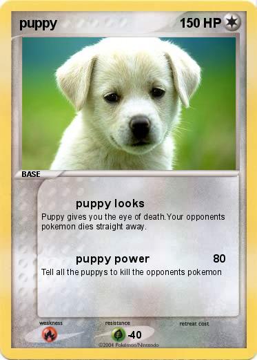 Pokemon puppy 