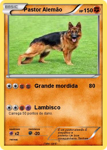 Pokemon Pastor Alemão
