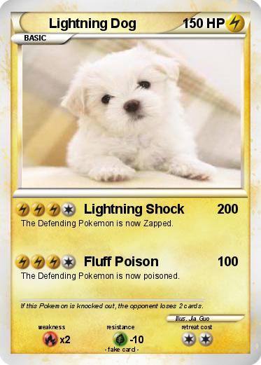 Pokemon Lightning Dog