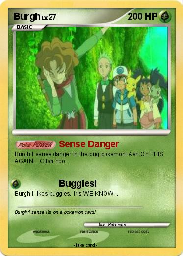 Pokemon Burgh