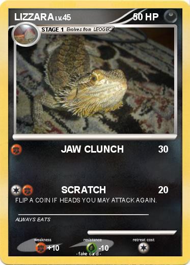 Pokemon LIZZARA