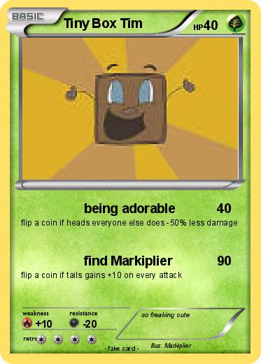 Pokemon Tiny Box Tim