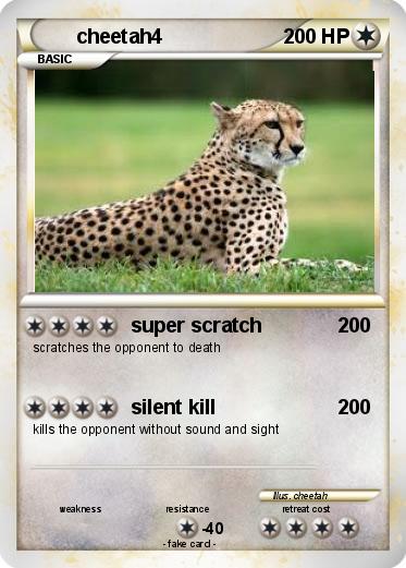 Pokemon cheetah4