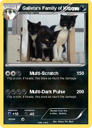 Pokemon Galleta's Family of Kittens