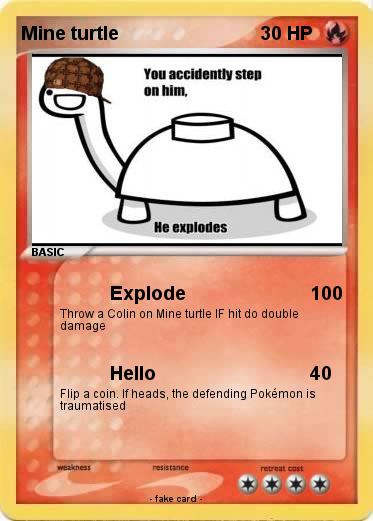 Pokemon Mine turtle