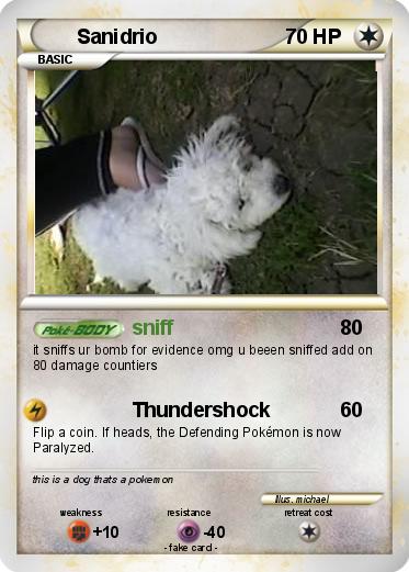 Pokemon Sanidrio