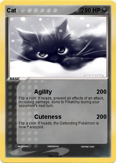 Pokemon Cat