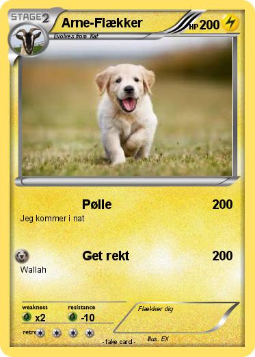 Pokemon Arne-Flækker