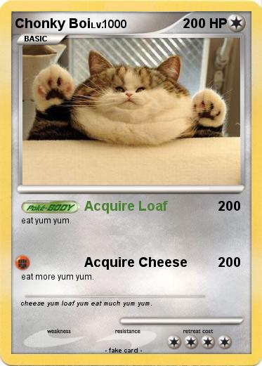 Pokemon Chonky Boi