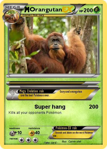 Pokemon Orangutan