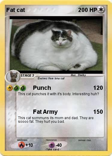 Pokemon Fat cat