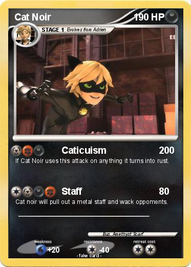 Pokemon Cat Noir