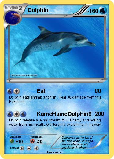 Pokemon Dolphin