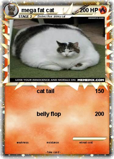 Pokemon mega fat cat