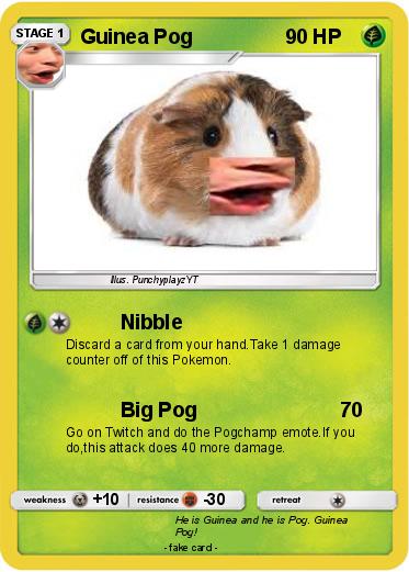 Pokemon Guinea Pog