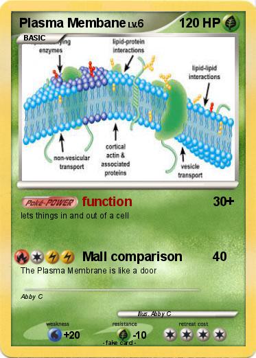 Pokemon Plasma Membane
