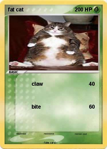 Pokemon fat cat