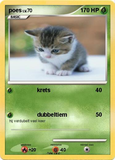 Pokemon poes