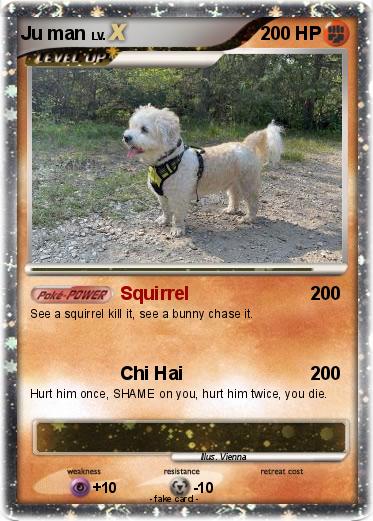 Pokemon Ju man