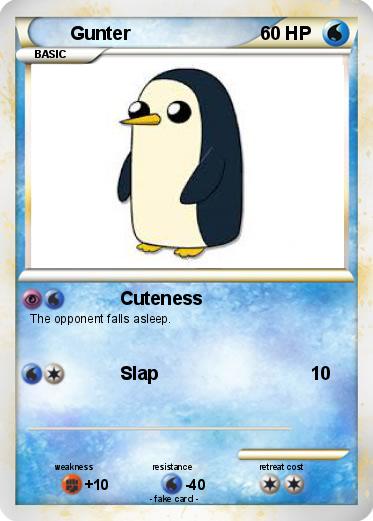 Pokemon Gunter