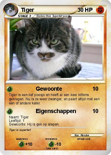 Pokemon Tiger