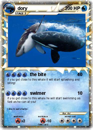 Pokemon dory