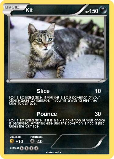 Pokemon Kit