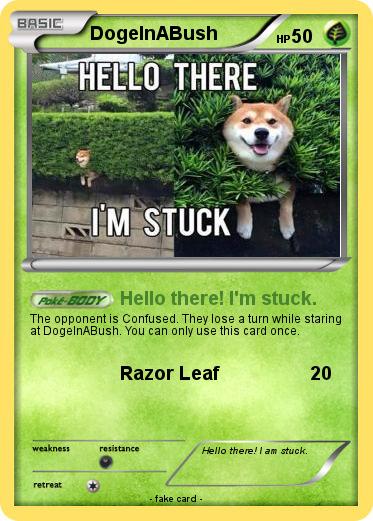 Pokemon DogeInABush
