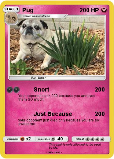 Pokemon Pug