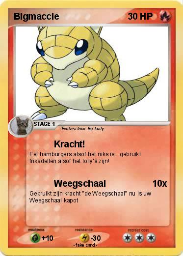 Pokemon Bigmaccie