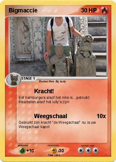 Pokemon Bigmaccie