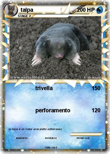 Pokemon talpa