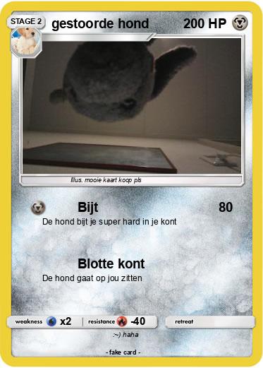 Pokemon gestoorde hond