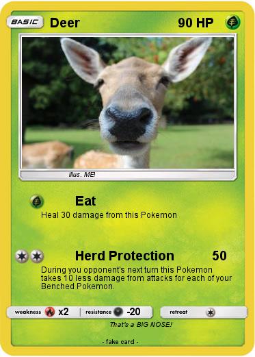 Pokemon Deer