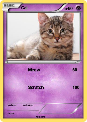 Pokemon Cat