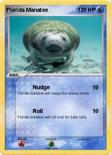 Pokemon Florida Manatee