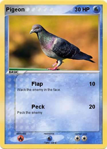 Pokemon Pigeon