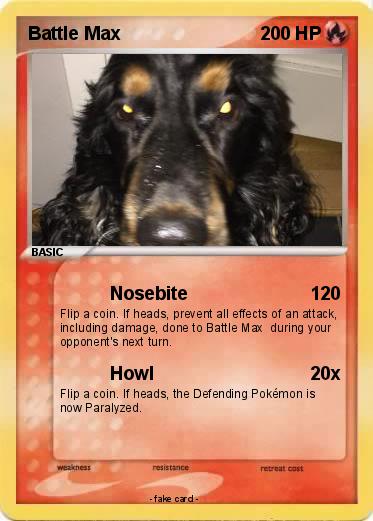 Pokemon Battle Max