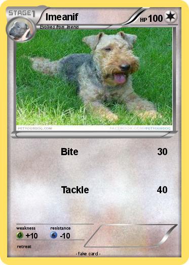 Pokemon Imeanif
